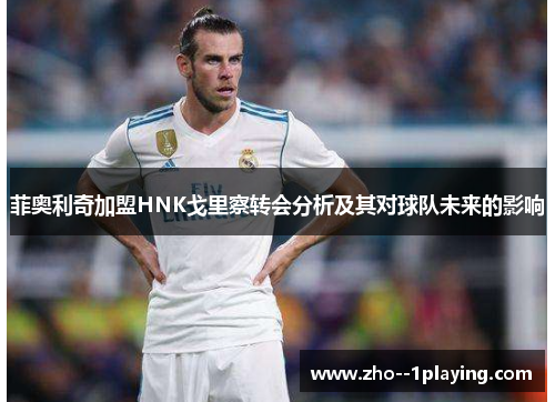 菲奥利奇加盟HNK戈里察转会分析及其对球队未来的影响