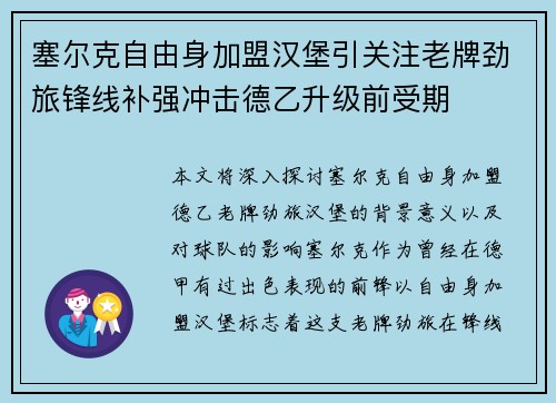 塞尔克自由身加盟汉堡引关注老牌劲旅锋线补强冲击德乙升级前受期
